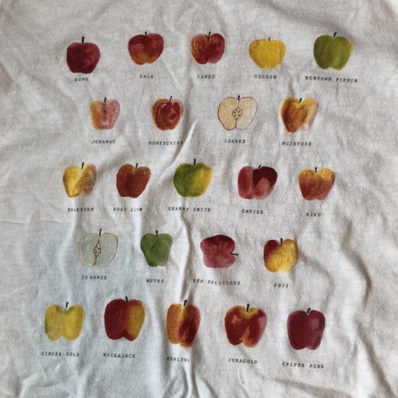 SOLD J Crew Collector Apple Tee - Picture 3 of 6